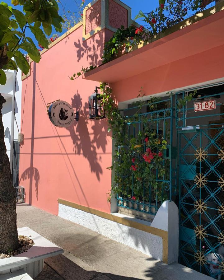 Hostel Musa Paradisiaca Santa Marta  Exterior photo